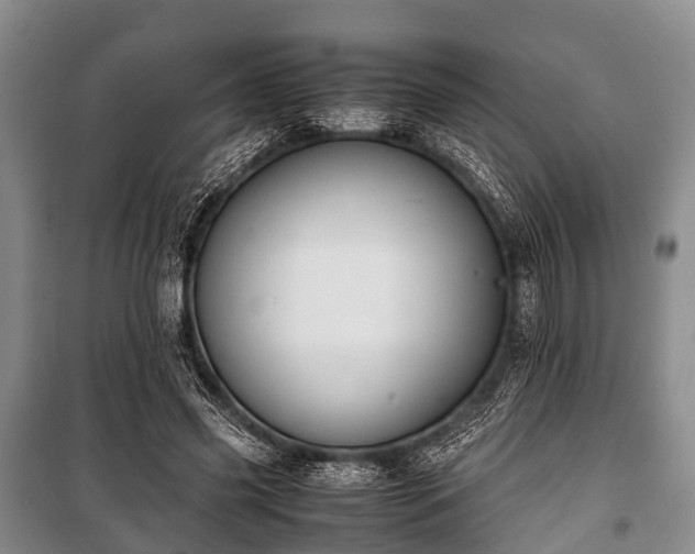 X0000100770541200806261546