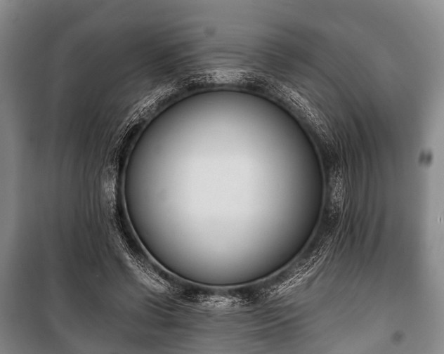 X0000100770542200806261546