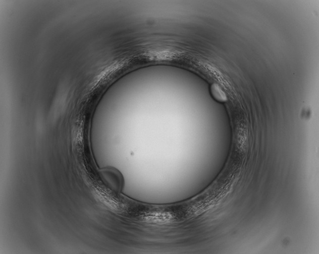 X0000100770543200806261546