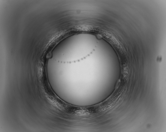 X0000100770544200806261546