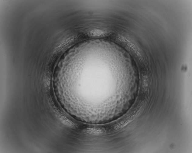 X0000100770545200806261546