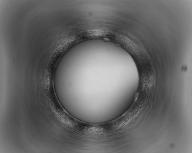 X0000100770546200806261546