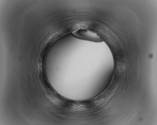 X0000100770547200806261546