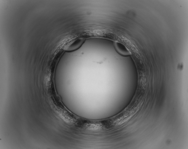 X0000100770548200806261546