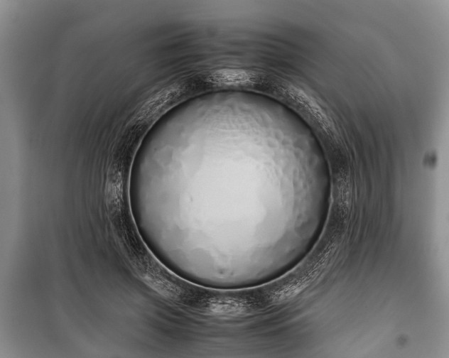 X0000100770549200806261546