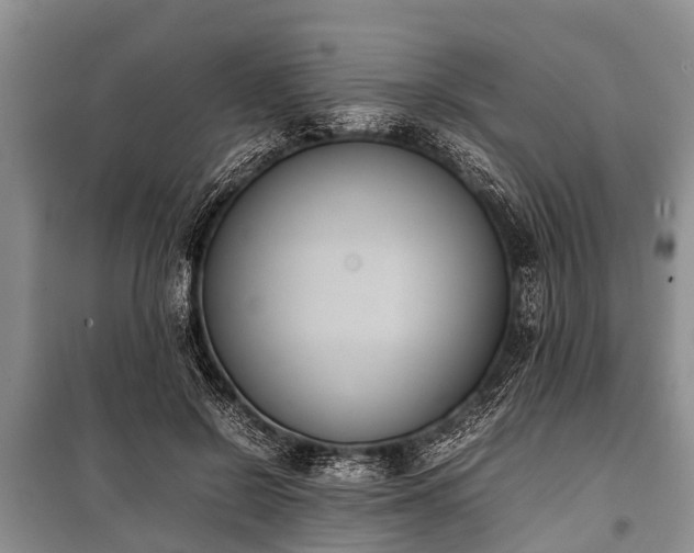 X0000100770550200806261546