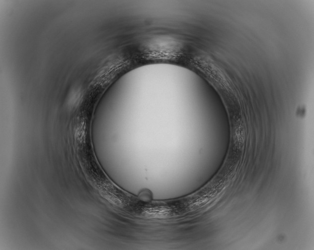 X0000100770551200806261546