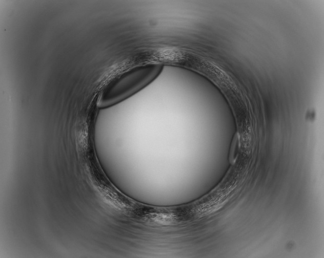 X0000100770552200806261546