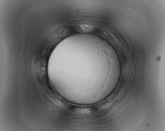 X0000100770553200806261546