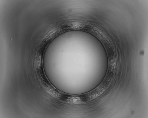 X0000100770554200806261546