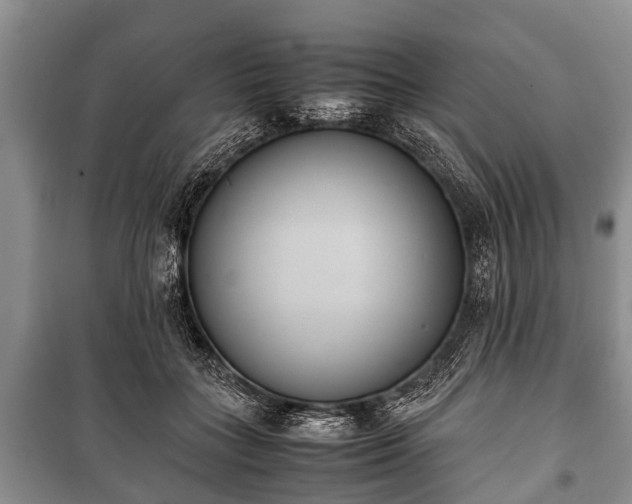 X0000100770555200806261546