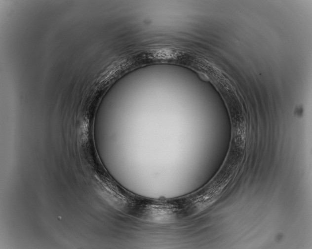 X0000100770556200806261546