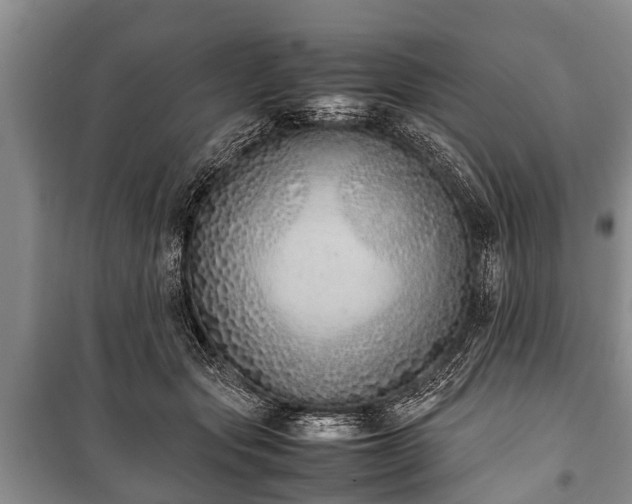 X0000100770557200806261546
