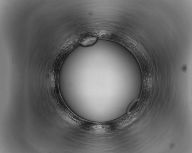 X0000100770558200806261546