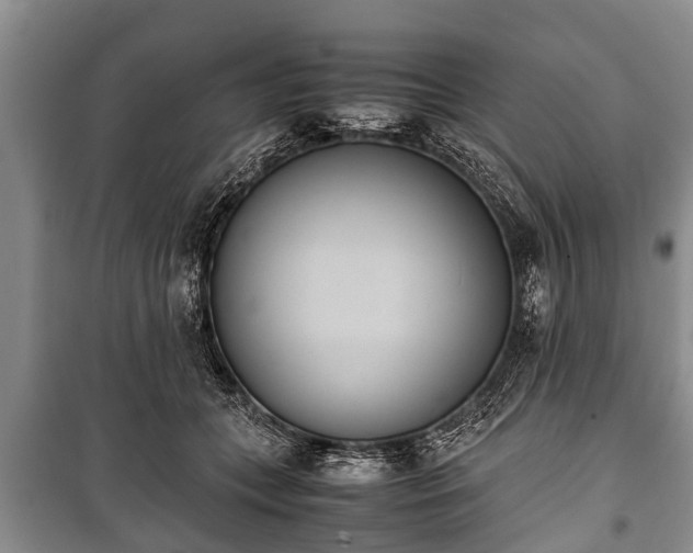X0000100770559200806261546