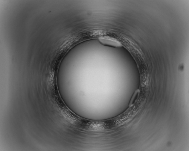 X0000100770560200806261546