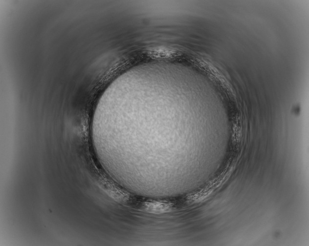 X0000100770561200806261546
