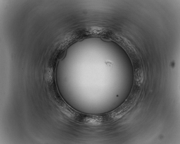 X0000100770563200806261546