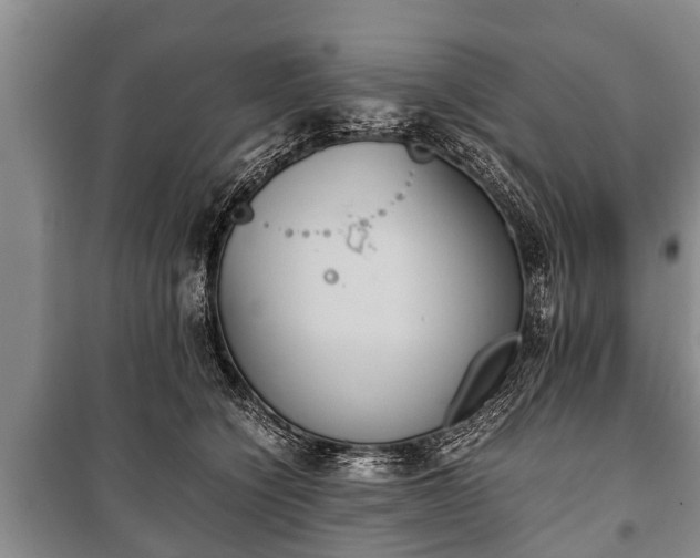 X0000100770564200806261546