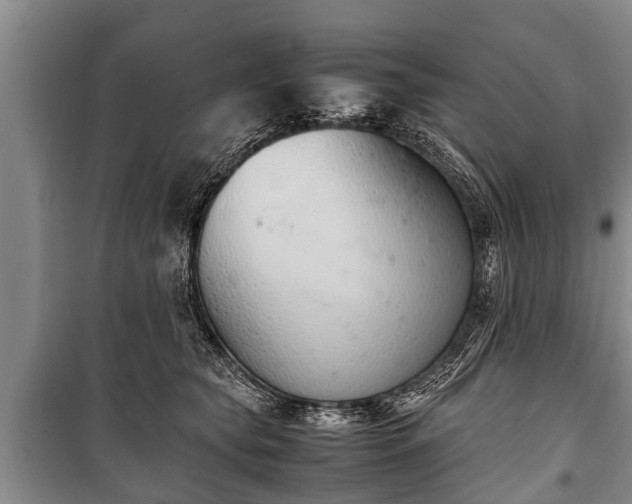 X0000100770565200806261546