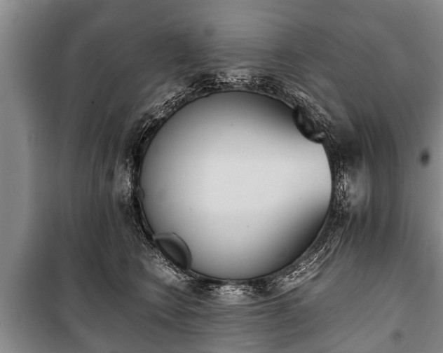 X0000100770566200806261546