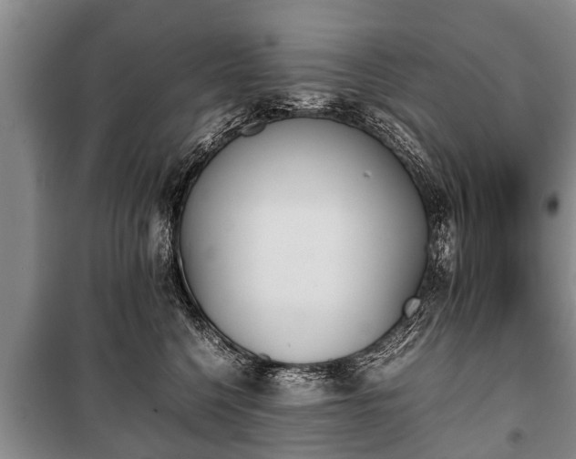 X0000100770568200806261546