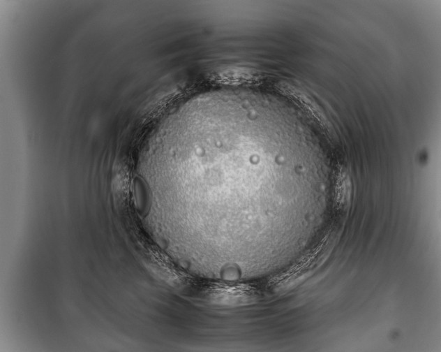 X0000100770569200806261546