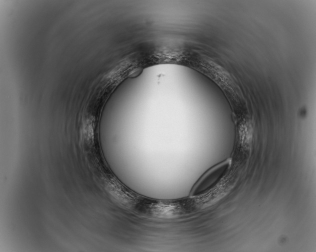 X0000100770570200806261546