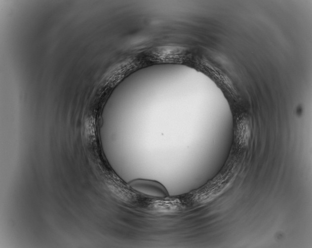 X0000100770571200806261546