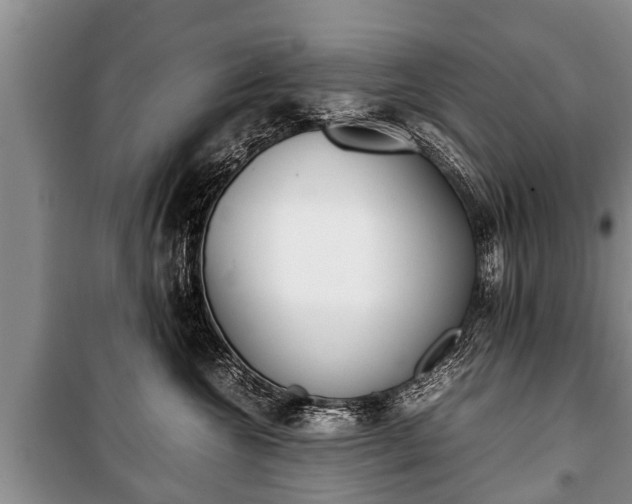 X0000100770572200806261546