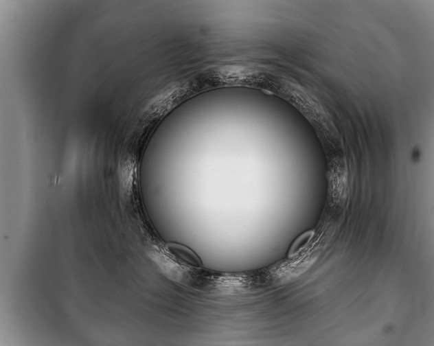 X0000100770574200806261546