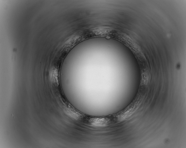 X0000100770575200806261546