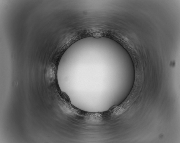 X0000100770576200806261546