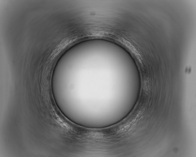 X0000100770577200806261545