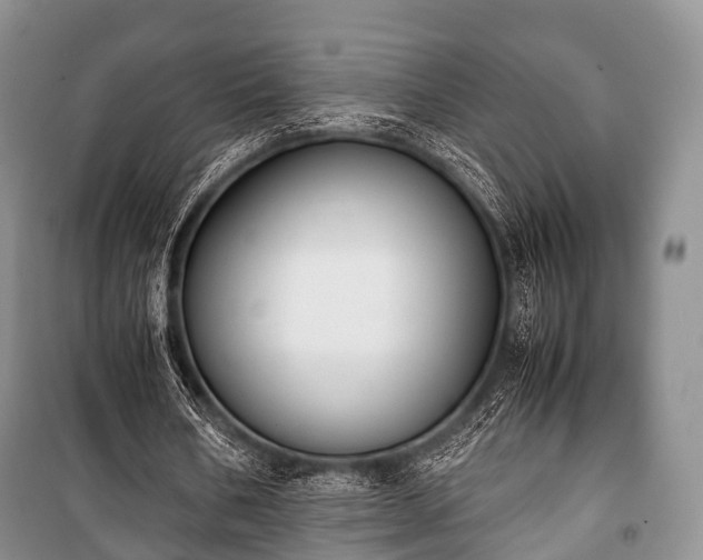 X0000100770578200806261545