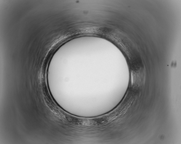 X0000100770579200806261545