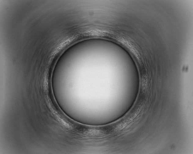 X0000100770581200806261545