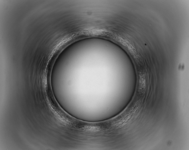 X0000100770582200806261545