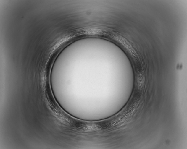 X0000100770583200806261545