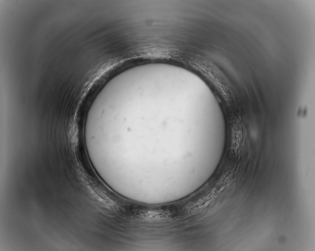 X0000100770584200806261545