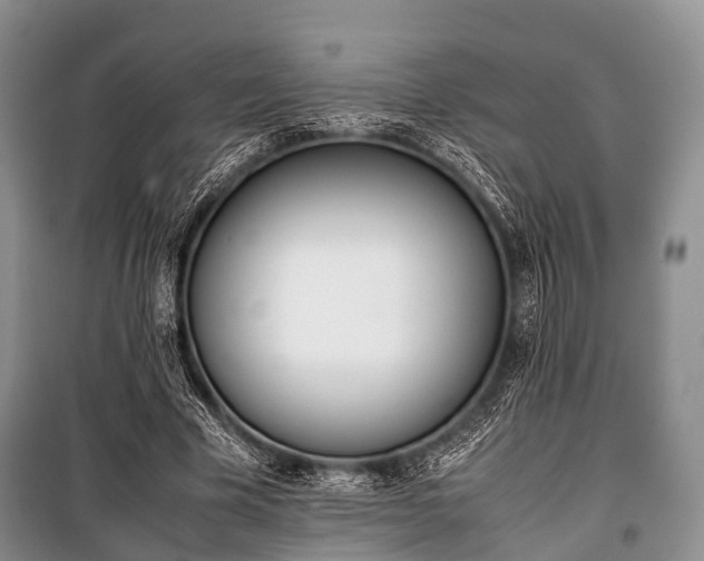 X0000100770585200806261545