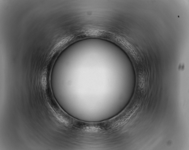 X0000100770586200806261545