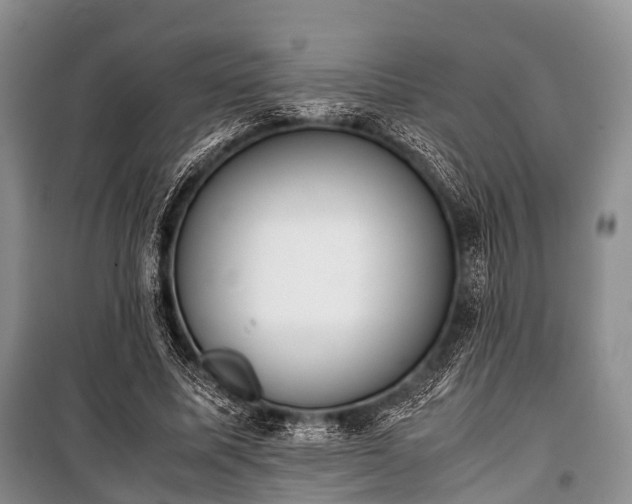 X0000100770587200806261545