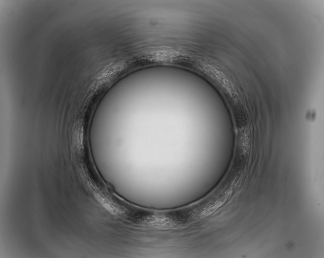 X0000100770589200806261545