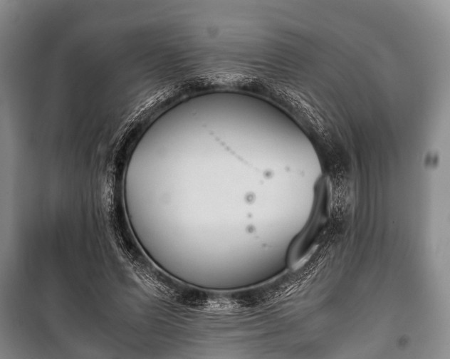 X0000100770591200806261545