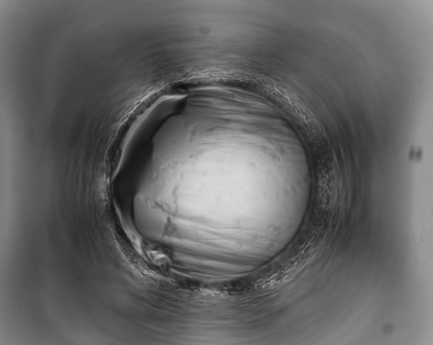 X0000100770592200806261545
