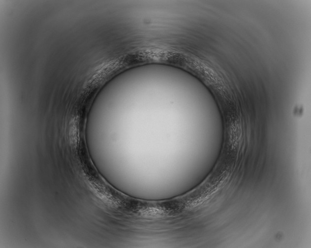 X0000100770594200806261545