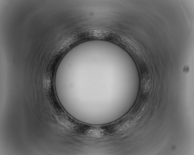 X0000100770595200806261545
