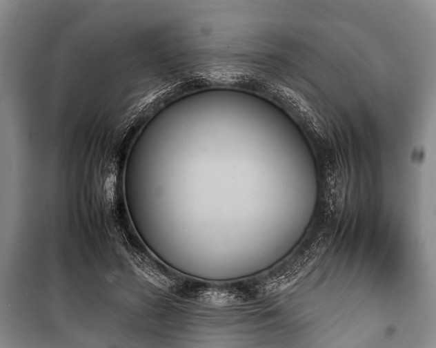 X0000100770596200806261545