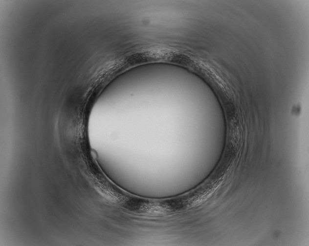 X0000100770597200806261545